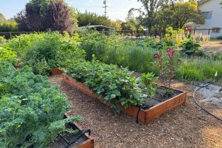 Single Family Residence,  Piezzi road, Santa Rosa, CA 95401 - 45