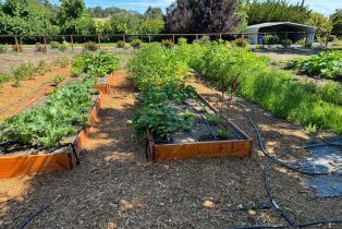 Single Family Residence,  Piezzi road, Santa Rosa, CA 95401 - 46