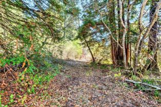 Residential Acreage,  Pocket Canyon road, Russian River, CA 95446 - 20