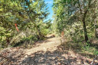Residential Acreage,  Pocket Canyon road, Russian River, CA 95446 - 10