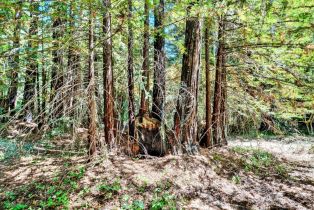 Residential Acreage,  Pocket Canyon road, Russian River, CA 95446 - 15