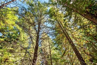 Residential Acreage,  Pocket Canyon road, Russian River, CA 95446 - 19