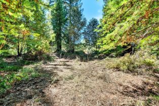 Residential Acreage,  Pocket Canyon road, Russian River, CA 95446 - 14