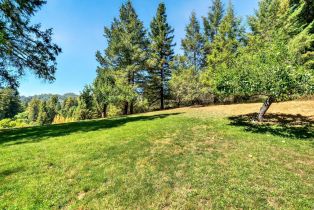 Residential Acreage,  Pocket Canyon road, Russian River, CA 95446 - 11