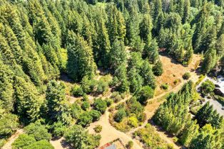 Residential Acreage,  Pocket Canyon road, Russian River, CA 95446 - 4