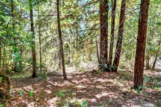Residential Acreage,  Pocket Canyon road, Russian River, CA 95446 - 17
