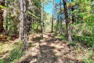 Residential Acreage,  Pocket Canyon road, Russian River, CA 95446 - 18