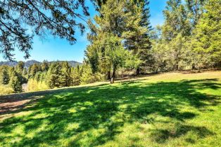 Residential Acreage,  Pocket Canyon road, Russian River, CA 95446 - 12