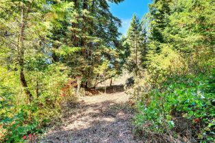 Residential Acreage,  Pocket Canyon road, Russian River, CA 95446 - 16