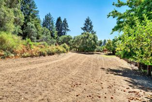 Residential Acreage,  Pocket Canyon road, Russian River, CA 95446 - 8