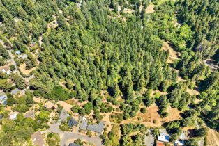 Residential Acreage,  Pocket Canyon road, Russian River, CA 95446 - 3