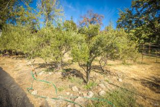 Single Family Residence,  River road, Cloverdale, CA 95425 - 32