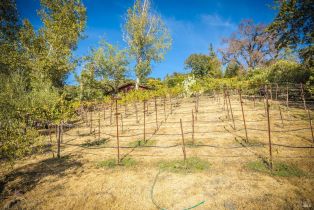 Single Family Residence,  River road, Cloverdale, CA 95425 - 30