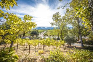 Single Family Residence,  River road, Cloverdale, CA 95425 - 11