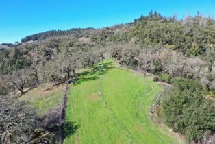 Single Family Residence,  Highway 128 road, Cloverdale, CA 95425 - 84