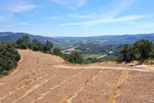 Single Family Residence,  Highway 128 road, Cloverdale, CA 95425 - 78