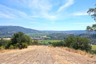 Single Family Residence,  Highway 128 road, Cloverdale, CA 95425 - 10