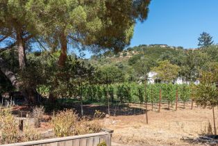Single Family Residence,  Lovall Valley road, Sonoma, CA 95476 - 45