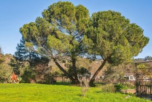 Single Family Residence,  Lovall Valley road, Sonoma, CA 95476 - 38