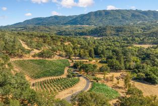 Single Family Residence,  Warm Springs road, Glen Ellen, CA 95442 - 30