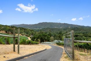 Single Family Residence,  Warm Springs road, Glen Ellen, CA 95442 - 31