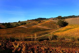 Single Family Residence,  Treehaven lane, Kenwood, CA 95452 - 26