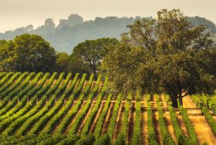 Single Family Residence,  Treehaven lane, Kenwood, CA 95452 - 25