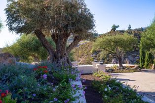 Single Family Residence, Atlas Peak road, Napa, CA 94558 - 65