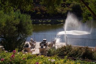 Single Family Residence, Atlas Peak road, Napa, CA 94558 - 58