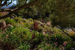 Single Family Residence, Atlas Peak road, Napa, CA 94558 - 66