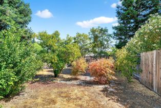 Single Family Residence,  Owl Hill avenue, Santa Rosa, CA 95409 - 60