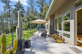 Single Family Residence,  Erland road, Santa Rosa, CA 95404 - 59
