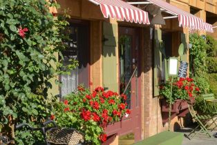 Residential Income, 8 Burgundy way, Yountville, CA 94599 - 49