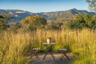 Single Family Residence,  Via Cantera none, Kenwood, CA 95452 - 19