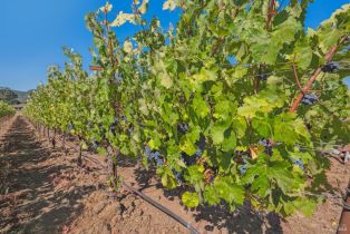 Single Family Residence,  Arnold drive, Sonoma, CA 95476 - 45