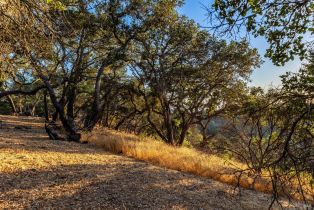 Single Family Residence,  Singing Hills Trail none, Santa Rosa, CA 95404 - 67