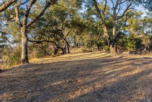 Single Family Residence,  Singing Hills Trail none, Santa Rosa, CA 95404 - 63