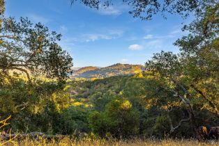 Single Family Residence,  Singing Hills Trail none, Santa Rosa, CA 95404 - 65