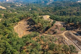 Single Family Residence,  Singing Hills Trail none, Santa Rosa, CA 95404 - 52