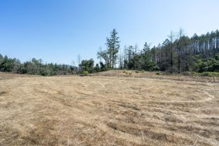 Residential Lot,  St Helena road, Santa Rosa, CA 95404 - 47
