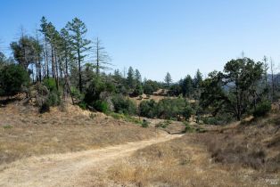 Residential Lot,  St Helena road, Santa Rosa, CA 95404 - 53