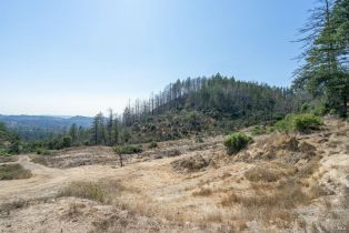 Residential Lot,  St Helena road, Santa Rosa, CA 95404 - 9