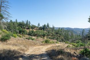 Residential Lot,  St Helena road, Santa Rosa, CA 95404 - 56