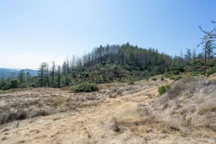 Residential Lot,  St Helena road, Santa Rosa, CA 95404 - 36