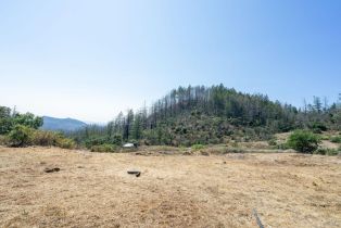 Residential Lot,  St Helena road, Santa Rosa, CA 95404 - 27