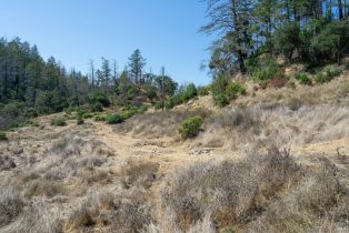 Residential Lot,  St Helena road, Santa Rosa, CA 95404 - 33