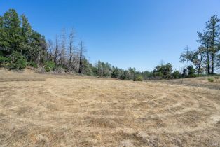 Residential Lot,  St Helena road, Santa Rosa, CA 95404 - 46