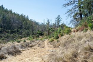 Residential Lot,  St Helena road, Santa Rosa, CA 95404 - 32
