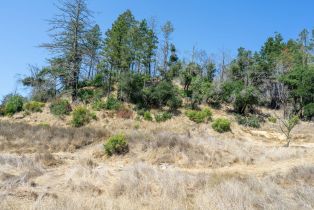 Residential Lot,  St Helena road, Santa Rosa, CA 95404 - 34