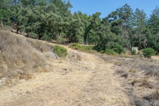 Residential Lot,  St Helena road, Santa Rosa, CA 95404 - 35